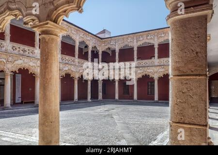 Palais des ducs de l'Infantado dans le style gothique élisabéthain avec des éléments de la Renaissance dans la ville de Guadalajara, Castilla la Mancha, Espagne. Banque D'Images