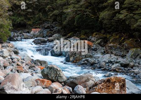 Une rivière dans le Fiordland, en Nouvelle-Zélande. Vous pouvez trouver cette rivière sur le chemin de Milford Sound. Il est entouré de rochers, la vie végétale verte etun beau b Banque D'Images