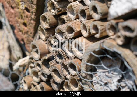 Gros plan d'un hôtel d'insectes ou d'abeilles par une journée ensoleillée. Banque D'Images