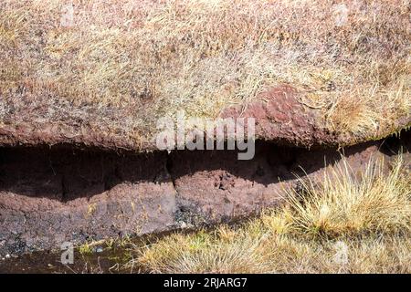 Tourbière Banque D'Images