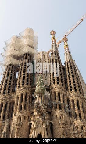 Vue panoramique sur la Sagrada Familia, mettant en valeur l'éclat architectural d'Antoni Gaudi à Barcelone. Banque D'Images