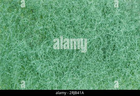 gros plan du fond et de la texture de l'éponge de gommage verte Banque D'Images