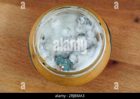 Moisissure poussant dans un bocal avec de la nourriture. Gros plan. Banque D'Images