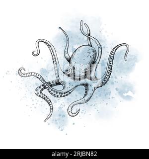 Dessin de Octopus de mer avec tache bleue aquarelle. Illustration graphique de poissons de mer peints à l'encre noire sur fond isolé. Croquis d'animal sous-marin marin marin pour icône ou logo dans le style de contour. Banque D'Images