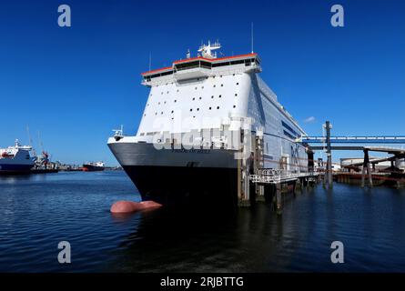 Le ferry Pride of Hull à son quai dans l'Europoort à Rotterdam. Banque D'Images