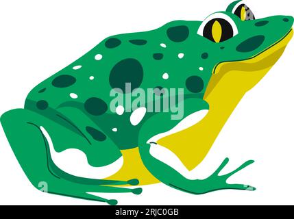 Crapaud ou grenouille, vecteur de la faune animale amphibie Illustration de Vecteur