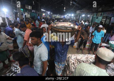 Dhaka, Bangladesh. 22 août 2023. Chandpur poissmarket le plus grand marché de gros de poissons Hilsha au Bangladesh.Hilshas pêchés dans la rivière Meghna. Chandpur, Bangladesh. 22 août 2023. Connu localement sous le nom d'Ilish, le poisson a été désigné comme le poisson national du Bangladesh. Hilsa, toujours une délicatesse particulière dans un ménage bengali est préparée de nombreuses façons différentes. On le trouve dans la baie du Bengale et Padma, Jamuna, Meghna, Karnafully et d'autres rivières côtières du Bangladesh. Photo de Habibur Rahman/ABACAPRESS.COM crédit : Abaca Press/Alamy Live News Banque D'Images