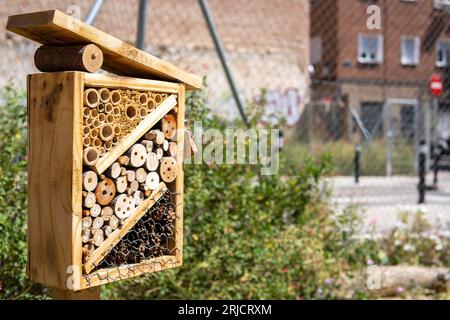 Hôtel d'insectes sur un verger urbain sur la rue du centre-ville. Banque D'Images