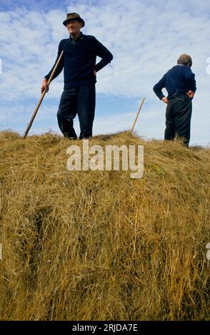 Agriculture rurale côte ouest du sud de l'Irlande des années 1970. Trois agriculteurs construisant une botte de foin.Southern Ireland County Kerry, Eire 1970s. HOMER SYKES. Banque D'Images