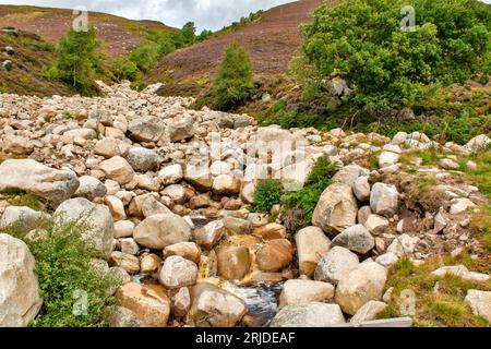 Loch Muick Ballater Balmoral Estate Scotland brûle ou ruisseau en été Banque D'Images