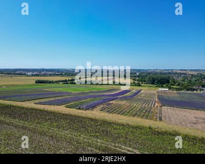 Une vue aérienne d'un paysage rural à Hitchin, au Royaume-Uni, avec une ferme tranquille et les champs de lavande environnants Banque D'Images