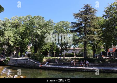 Cours d'eau de la Sorgue, l'Isle sur la Sorgue, Vaucluse, région Provence Alpes Côte d'Azur, France, au printemps Banque D'Images