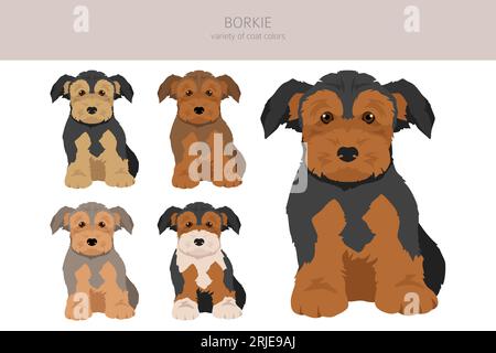 Borkie clipart. Mélange Beagle Yorkshire terrier. Ensemble de couleurs de manteau différentes. Illustration vectorielle Illustration de Vecteur