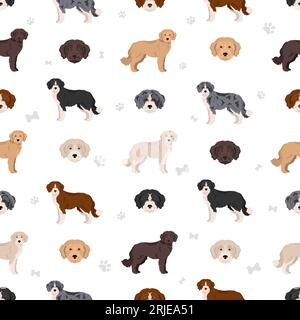 Motif Bordoodle Seamless. Border collie Poodlemix. Ensemble de couleurs de manteau différentes. Illustration vectorielle Illustration de Vecteur