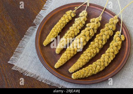 Millet jaune dans une assiette en céramique sur une table Banque D'Images