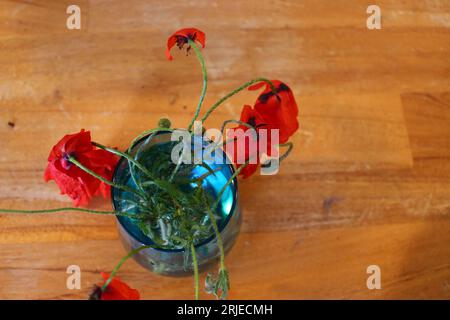 Vase bleu de coquelicots rouges fanés et mourants sur un fond en bois avec copie ou espace texte Banque D'Images