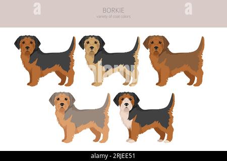 Borkie clipart. Mélange Beagle Yorkshire terrier. Ensemble de couleurs de manteau différentes. Illustration vectorielle Illustration de Vecteur