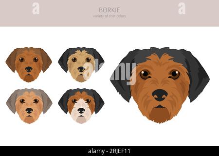 Borkie clipart. Mélange Beagle Yorkshire terrier. Ensemble de couleurs de manteau différentes. Illustration vectorielle Illustration de Vecteur