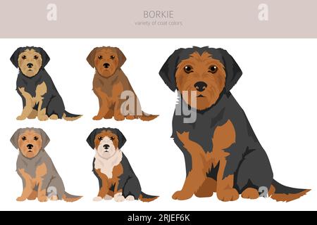 Borkie clipart. Mélange Beagle Yorkshire terrier. Ensemble de couleurs de manteau différentes. Illustration vectorielle Illustration de Vecteur