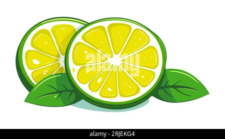 Moitié d'un citron vert avec une feuille sur un fond blanc. Illustration de Vecteur