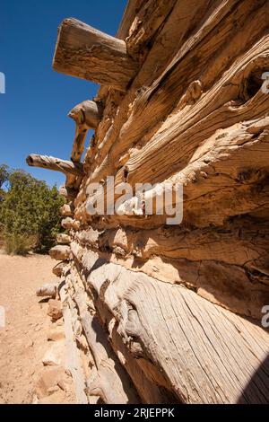 Détail de la cabane historique de Swasey, construite en rondins en 1921 par les frères Swasey qui ont couru du bétail sur la houle de San Rafael à partir des années 1870 IT Banque D'Images