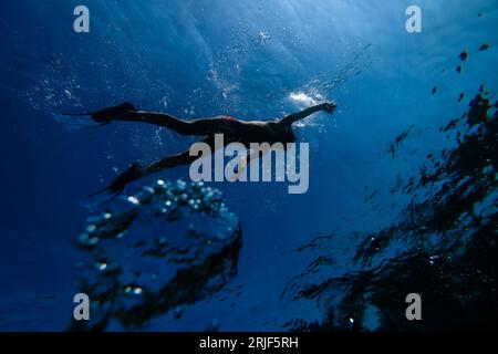 Du dessous du corps entier plongeur masculin méconnaissable dans le masque de plongée en apnée et palmes nageant sous l'eau de mer bleu profond Banque D'Images