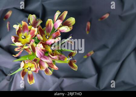 Tulipes jaunes fanées dans un vase. Sur fond noir. Vue d'en haut. Placer pour le texte Banque D'Images