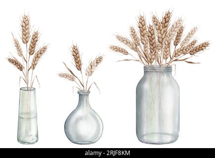 Épis de blé dans un pot de vase en verre. Récolte d'automne. Illustration de peinture à la main aquarelle sur fond blanc isolé. Pour la boulangerie design, maison Banque D'Images