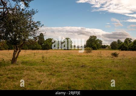 Castle Meadows, Wallingford Banque D'Images