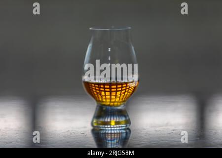 Whisky scotch single malt dans un verre de dégustation glencairn avec reflet de fenêtre dans le liquide Banque D'Images