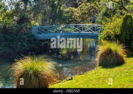 La rivière Avon coule à travers Mona Vale Garden Park, Christchurch, Île du Sud, Nouvelle-Zélande Banque D'Images