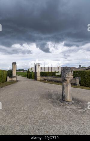 Château d'Yquem, Sauternes, Bordeaux, Aquitaine, France Banque D'Images