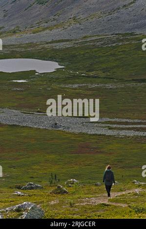 Vue lointaine de randonneurs féminins méconnaissables marche sur le chemin à travers la plaine ouverte verte près d'un lac et d'une montagne dans la nature sauvage suédoise Banque D'Images