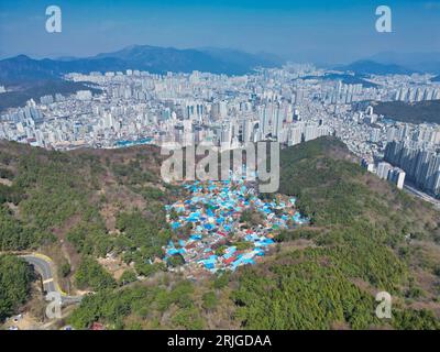 Fleurs de printemps fleurissant dans le village mulmangol, Busan, Corée du Sud, Asie. Banque D'Images