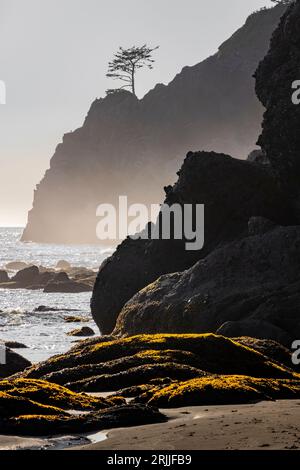 Point of Arches au coucher du soleil vu du tombolo, avec brume rétroéclairée, Parc National Olympique, État de Washington, États-Unis Banque D'Images