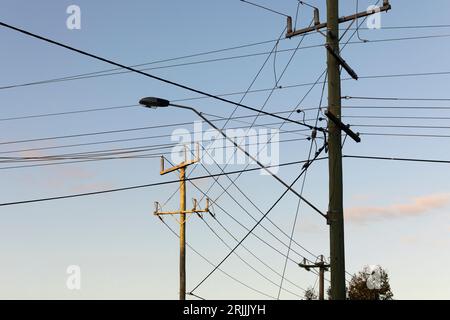 Les poteaux électriques et les lignes électriques sont placés contre le ciel de l'après-midi, créant une scène familière d'infrastructure de services publics dans l'environnement. Banque D'Images