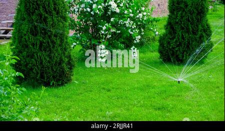 Sammer dans le jardin. Arrosage automatique de pelouse verte Banque D'Images