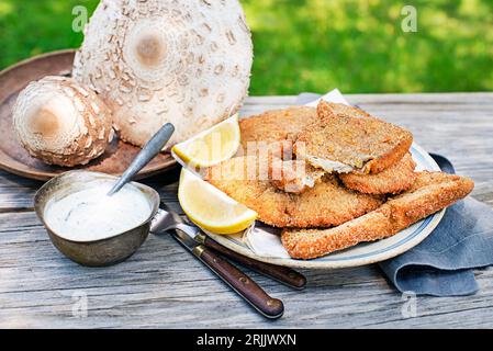 Champignons parasol Macrolepiota procera panés et croustillants frits servis sur assiette. Pané dans l'œuf et la chapelure, puis frit dans l'huile Banque D'Images