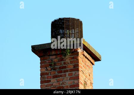 Vieille cheminée en briques de construction rouge délabrée avec des plantes qui poussent à partir de fissures et le dessus en béton recouvert d'une couverture en treillis métallique rouillé dense sur bleu clair Banque D'Images