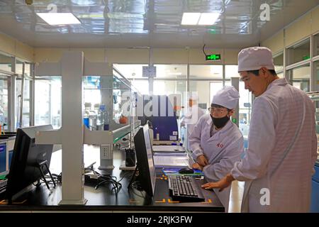 Comté de Luannan - 25 août 2018 : Laboratoire de produits de la China Mengniu Dairy Company, Comté de Luannan, province de Hebei, Chine Banque D'Images