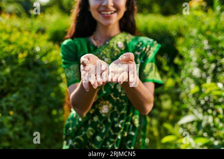 vue recadrée d'une jeune femme élégante en sari montrant les mains à l'appareil photo dans un parc flou Banque D'Images