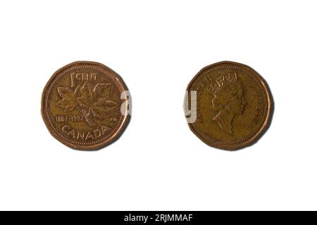 Les pièces canadiennes de 1 cents avec un portrait de la reine Elizabeth II tourné à droite sur un fond blanc Banque D'Images