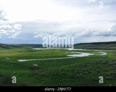 Une rivière tranquille serpente à travers une prairie luxuriante et verdoyante, entourée de champs d'herbe vibrante Banque D'Images