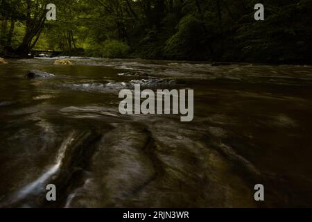 Une scène tranquille d'un ruisseau d'eau claire avec des arbres au premier plan Banque D'Images