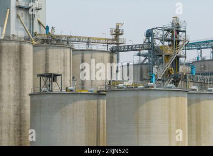 Usine d'alimentation animale. Silos agricoles, silos de stockage de céréales. Industrie agricole. Agro-industrie rurale. Innovation en matière de stockage des céréales. Silos agricoles Banque D'Images