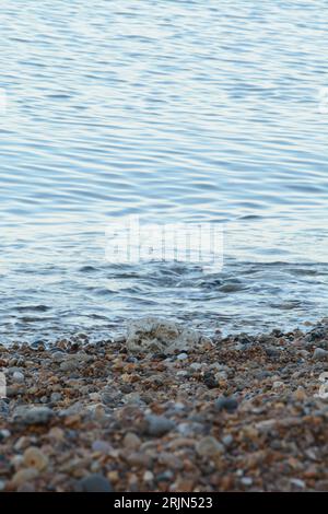 Image orientée portrait de cailloux sur une plage devant des vagues douces Banque D'Images