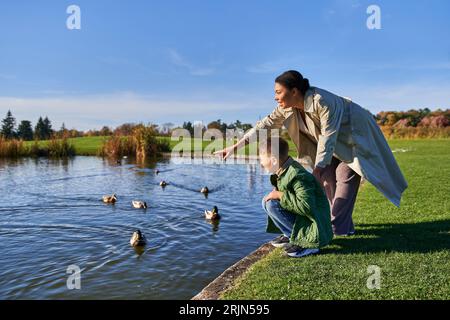 joyeuse femme afro-américaine en vêtements d'extérieur pointant vers les canards dans l'étang près de fils, nature automnale Banque D'Images