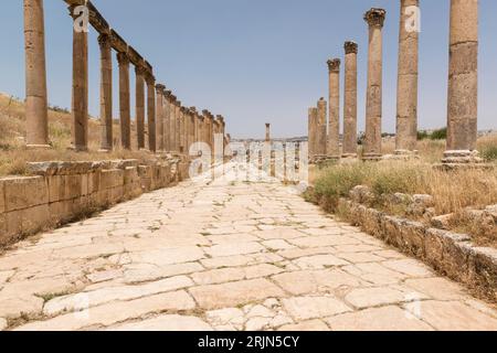 Le cardo maximus, la rue principale ou centrale orientée nord-sud dans l'ancienne ville gréco-romaine de Gerasa dans l'actuelle Jerash, au nord de la Jordanie. Banque D'Images