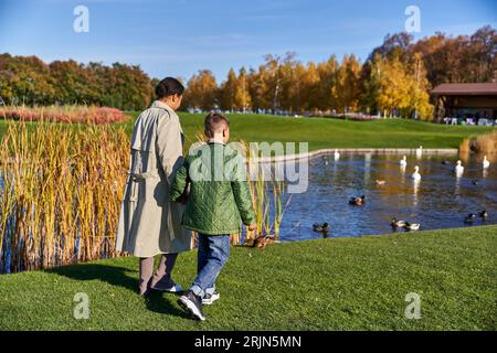 vue arrière de la mère et le fils en vêtements d'extérieur marchant ensemble près du lac avec des cygnes et des canards, la nature Banque D'Images