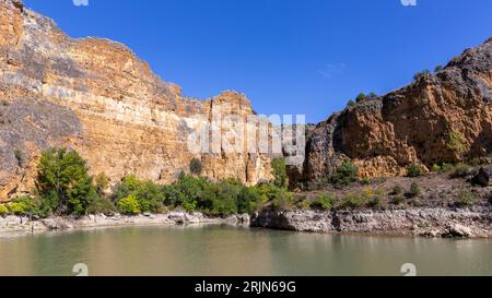 Réserve naturelle de Hoces del Rio Duraton (Parque Natural de las Hoces del Río Duratón) avec falaises verticales calcaires avec couches et rivière. Banque D'Images